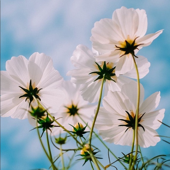 Meet your Posher, Arsh - Picture 1 of 1